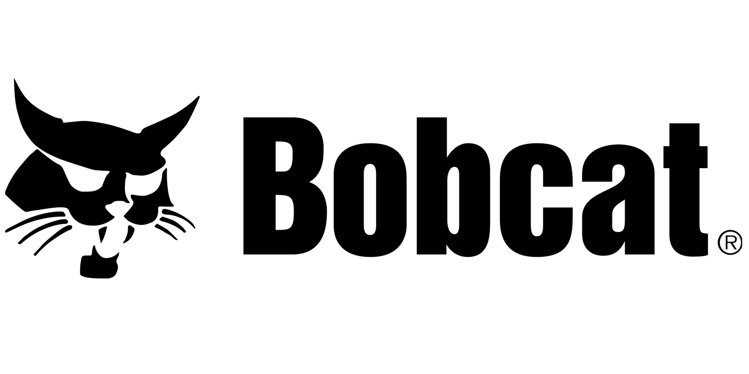 BobCatlogo